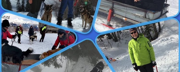 Corso di ricerca su Valanghe – Vogel 2019