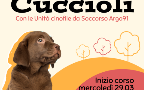 Corso di educazione di Base per Cuccioli