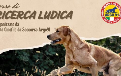 Concluso il Corso di Ricerca Ludica 2026 di Argo91